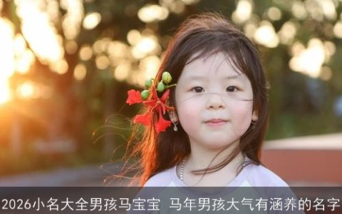 2026小名大全男孩马宝宝 马年男孩大气有涵养的名字
