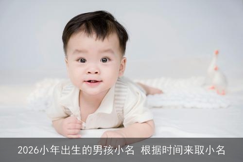 2026小年出生的男孩小名 根据时间来取小名
