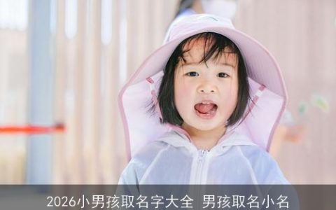 2026小男孩取名字大全 男孩取名小名
