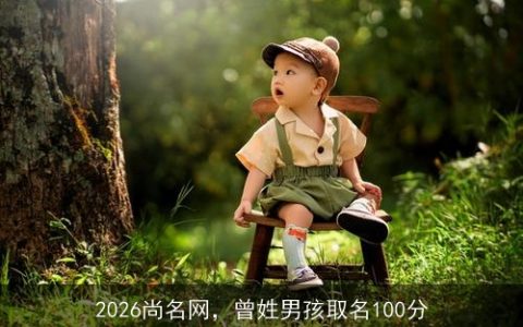 2026尚名网，曾姓男孩取名100分