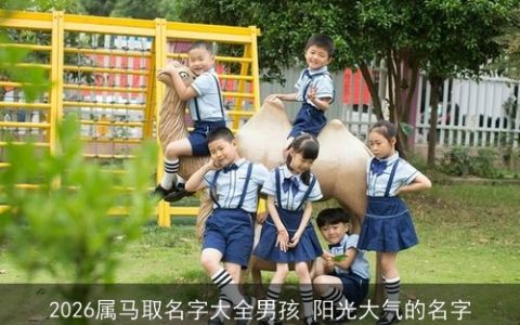2026属马取名字大全男孩 阳光大气的名字