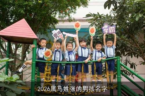 2026属马姓张的男孩名字