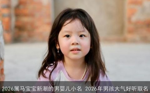 2026属马宝宝新潮的男婴儿小名 2026年男孩大气好听取名