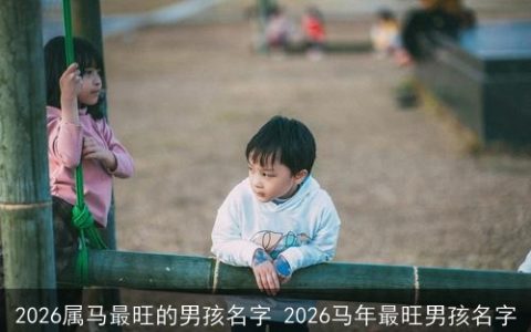2026属马最旺的男孩名字 2026马年最旺男孩名字