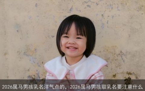 2026属马男孩乳名洋气点的，2026属马男孩取乳名要注意什么