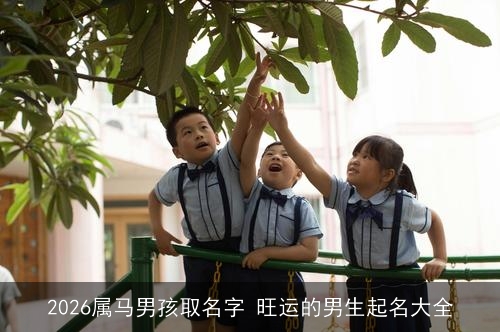 2026属马男孩取名字 旺运的男生起名大全