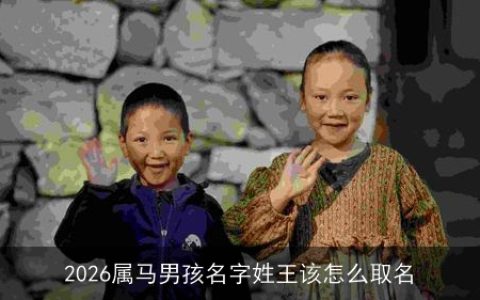 2026属马男孩名字姓王该怎么取名
