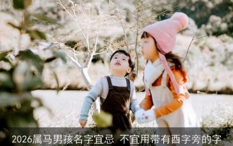 2026属马男孩名字宜忌 不宜用带有酉字旁的字