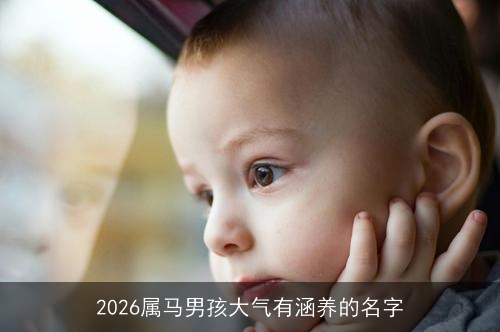 2026属马男孩大气有涵养的名字
