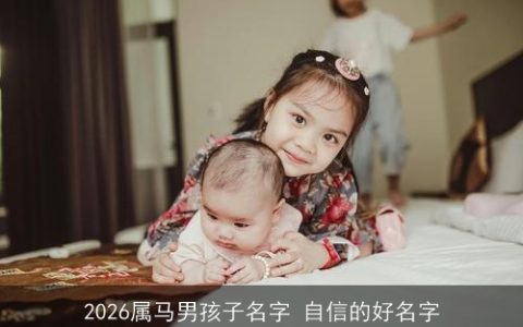 2026属马男孩子名字 自信的好名字
