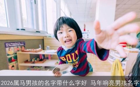 2026属马男孩的名字带什么字好 马年响亮男孩名字