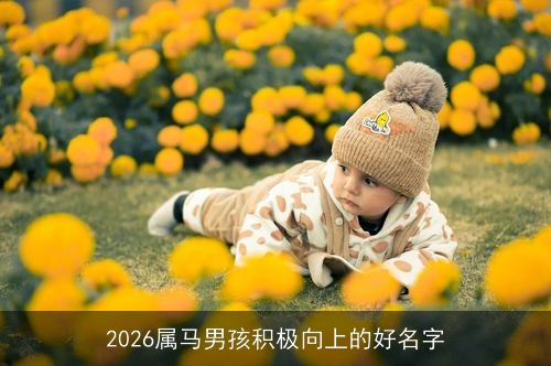2026属马男孩积极向上的好名字