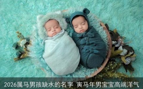 2026属马男孩缺水的名字 寅马年男宝宝高端洋气