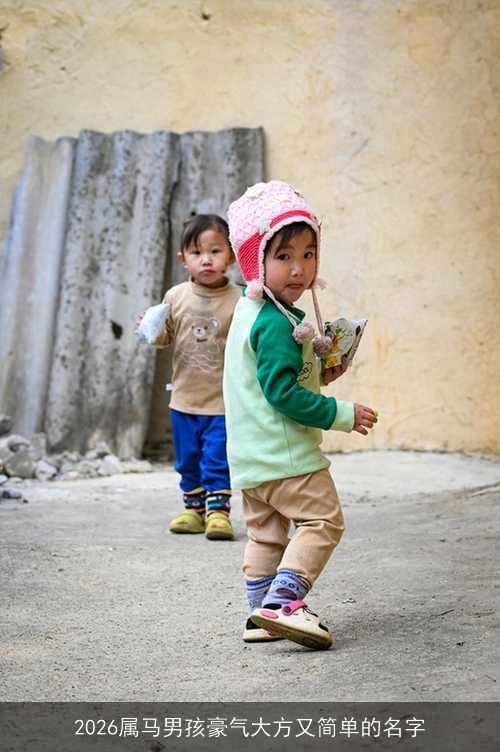 2026属马男孩豪气大方又简单的名字
