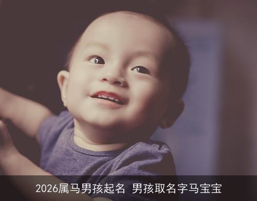 2026属马男孩起名 男孩取名字马宝宝