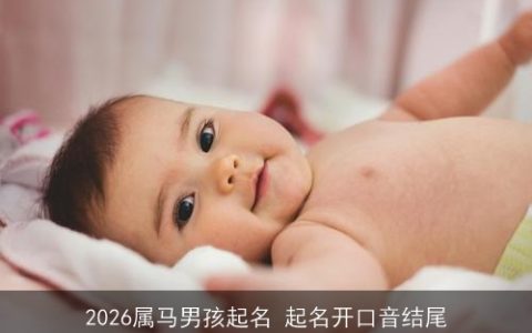 2026属马男孩起名 起名开口音结尾