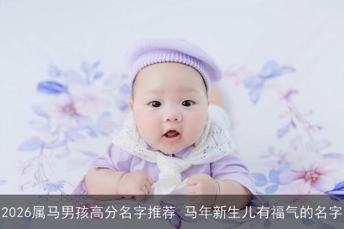 2026属马男孩高分名字推荐 马年新生儿有福气的名字