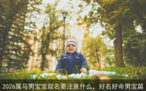2026属马男宝宝取名要注意什么，好名好命男宝篇