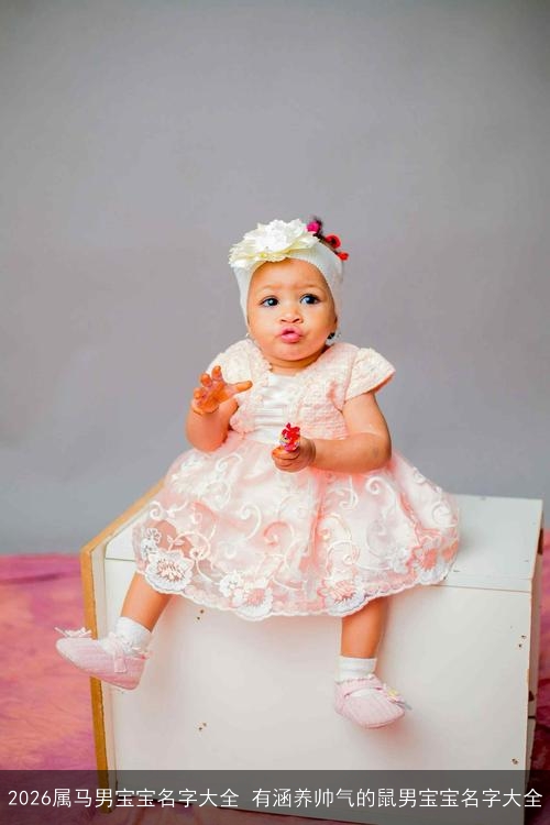2026属马男宝宝名字大全 有涵养帅气的鼠男宝宝名字大全