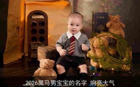 2026属马男宝宝的名字 响亮大气