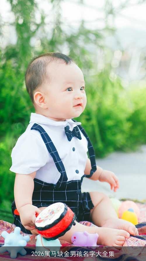 2026属马缺金男孩名字大全集