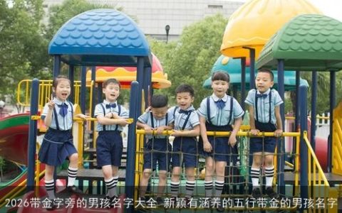 2026带金字旁的男孩名字大全 新颖有涵养的五行带金的男孩名字