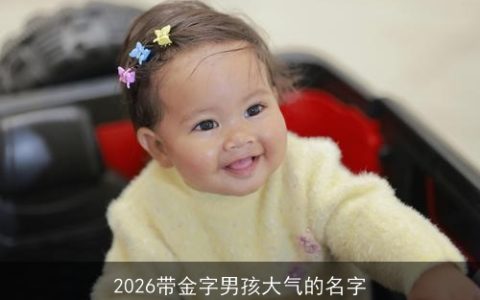 2026带金字男孩大气的名字