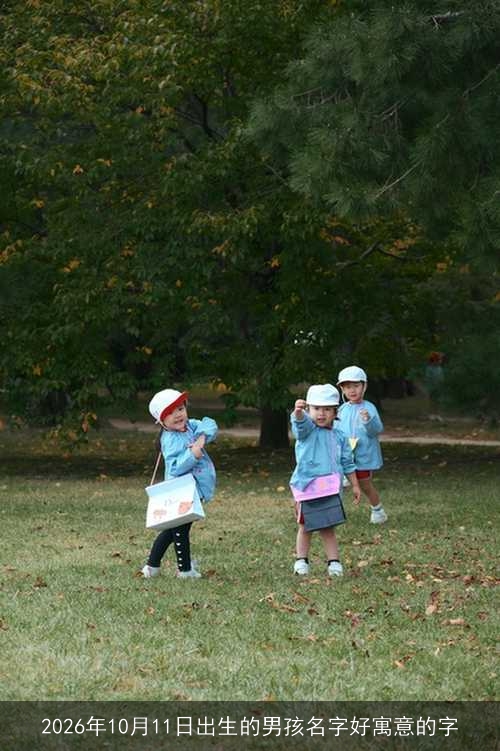 2026年10月11日出生的男孩名字好寓意的字