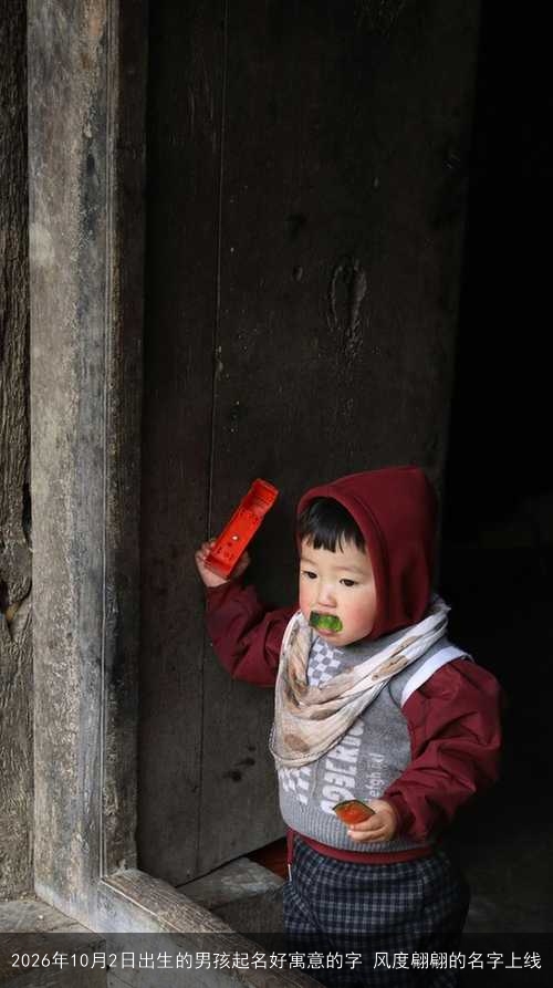 2026年10月2日出生的男孩起名好寓意的字 风度翩翩的名字上线