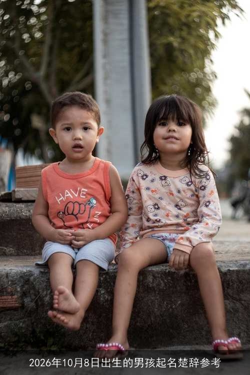 2026年10月8日出生的男孩起名楚辞参考