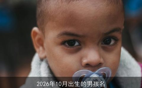 2026年10月出生的男孩名