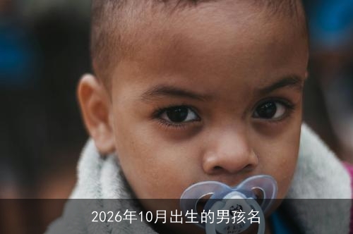 2026年10月出生的男孩名