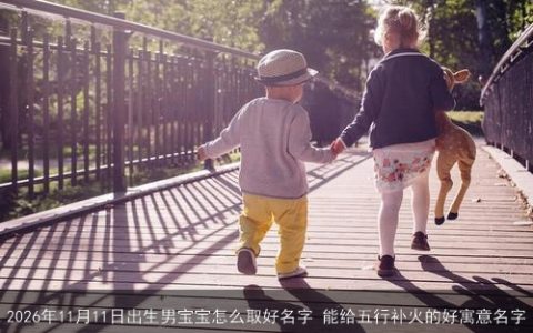 2026年11月11日出生男宝宝怎么取好名字 能给五行补火的好寓意名字