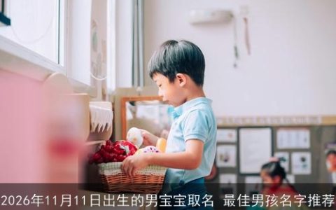 2026年11月11日出生的男宝宝取名 最佳男孩名字推荐