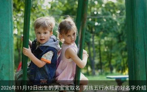 2026年11月12日出生的男宝宝取名 男孩五行水旺的好名字介绍