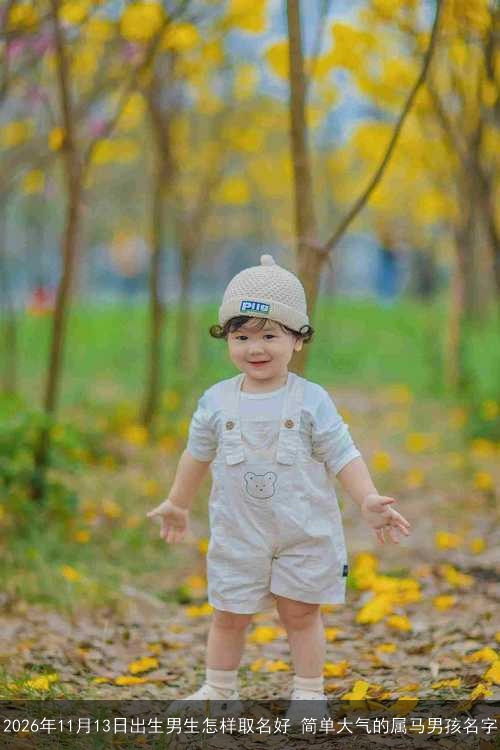 2026年11月13日出生男生怎样取名好 简单大气的属马男孩名字