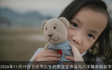 2026年11月19日下元节出生的男宝宝命运与八字算命取名字