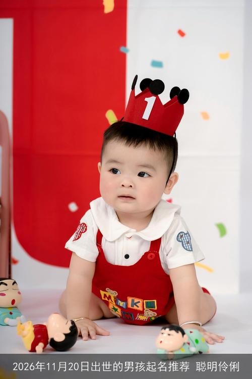 2026年11月20日出世的男孩起名推荐 聪明伶俐