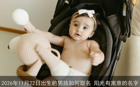 2026年11月22日出生的男孩如何取名 阳光有寓意的名字