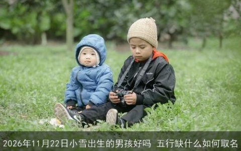 2026年11月22日小雪出生的男孩好吗 五行缺什么如何取名