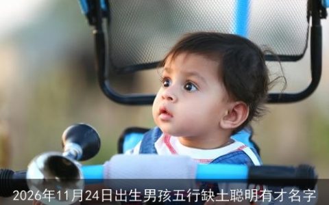 2026年11月24日出生男孩五行缺土聪明有才名字