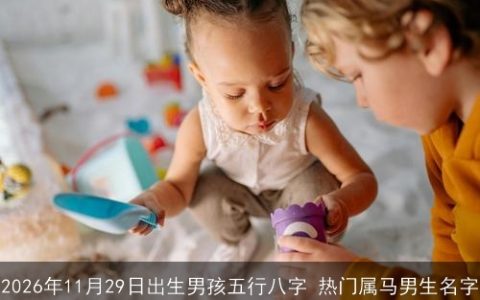 2026年11月29日出生男孩五行八字 热门属马男生名字