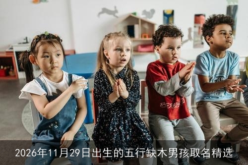 2026年11月29日出生的五行缺木男孩取名精选