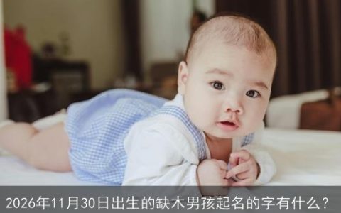 2026年11月30日出生的缺木男孩起名的字有什么？