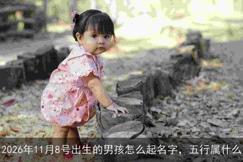 2026年11月8号出生的男孩怎么起名字，五行属什么