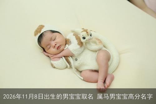 2026年11月8日出生的男宝宝取名 属马男宝宝高分名字