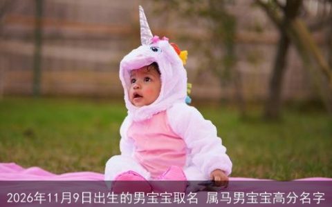 2026年11月9日出生的男宝宝取名 属马男宝宝高分名字