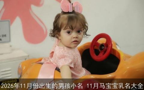 2026年11月份出生的男孩小名 11月马宝宝乳名大全