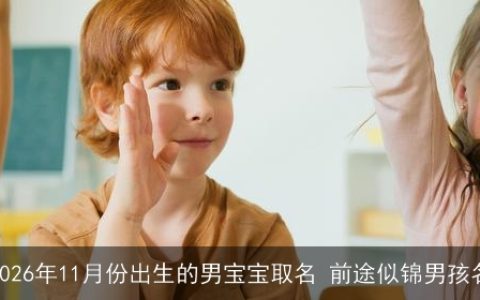 2026年11月份出生的男宝宝取名 前途似锦男孩名