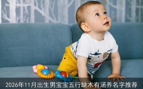 2026年11月出生男宝宝五行缺木有涵养名字推荐